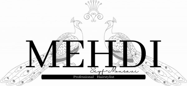 MEHDI Professional Hairstylist